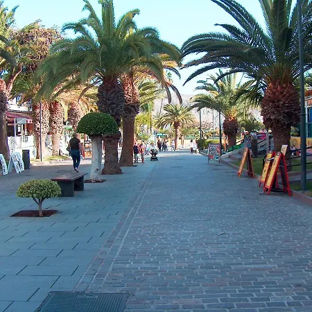 Apartamento Sun Terrace Cristianos By Helloapartments Los Cristianos (Tenerife)