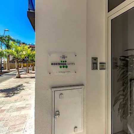 Apartment Luxury Penthouse Sea View, Cristianos *