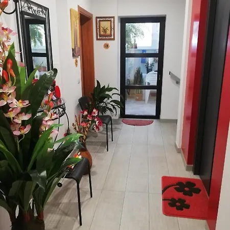 Chajofe 8 Apartment *