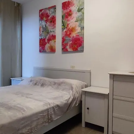 Apartment Chayofita *