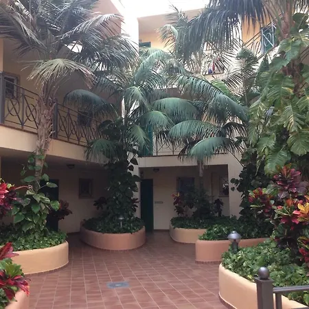 Apartment Parque Tropical Los Cristianos Los Cristianos (Tenerife)