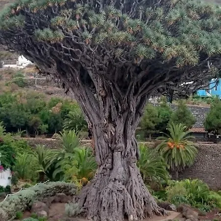 Floris's Los Cristianos (Tenerife)