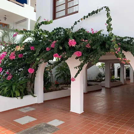 Sunny Tenerife, Cristianos, Los Cristianos (Tenerife)