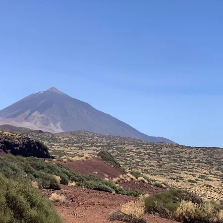 Sunny Tenerife, Cristianos, Los Cristianos (Tenerife)