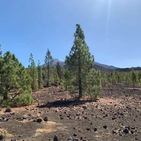 Sunny Tenerife, Cristianos, * Los Cristianos (Tenerife)