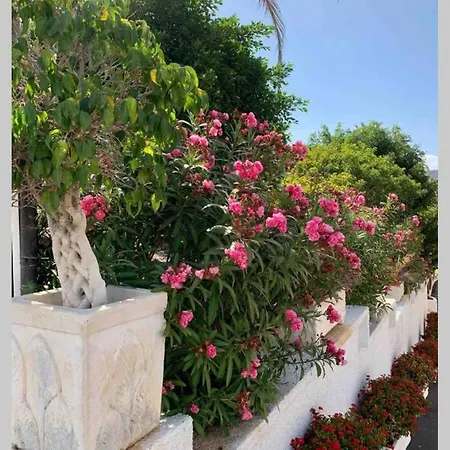 Apartment Guayero, Bel A 50m De La