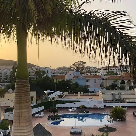Beautiful In Los Cristianos, Arona Los Cristianos (Tenerife)