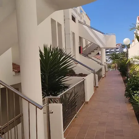 Apartment Under The Lime, Beautiful Cristianos Los Cristianos (Tenerife)