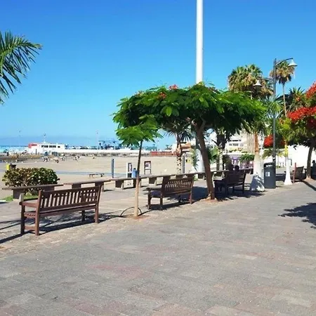 Fuer 3 Personen Ca 45 M In Cristianos, Teneriffa Westkueste Von Teneriffa * Los Cristianos (Tenerife)