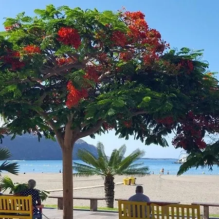 Apartment Fuer 3 Personen Ca 45 M In Cristianos, Teneriffa Westkueste Von Teneriffa *