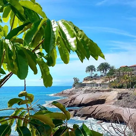 Apartment Ocean View - Cristianos Los Cristianos (Tenerife)