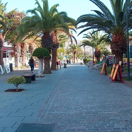 Apartment & Cristianos By Helloapartments Los Cristianos (Tenerife)