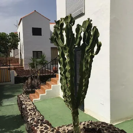Apartment Sotavento 28 Los Cristianos (Tenerife)