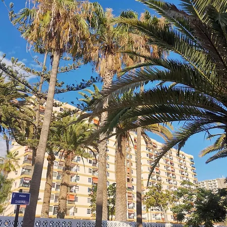 Apartment Cristianos Achacay Standing Vue Panoramique Los Cristianos (Tenerife)